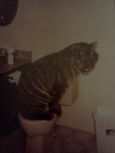 That would be the Bengal Tiger full grown and using the toilet like it was trained to do